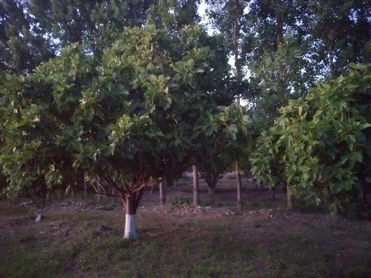 Finca La Julia Luyaba Zewnętrze zdjęcie