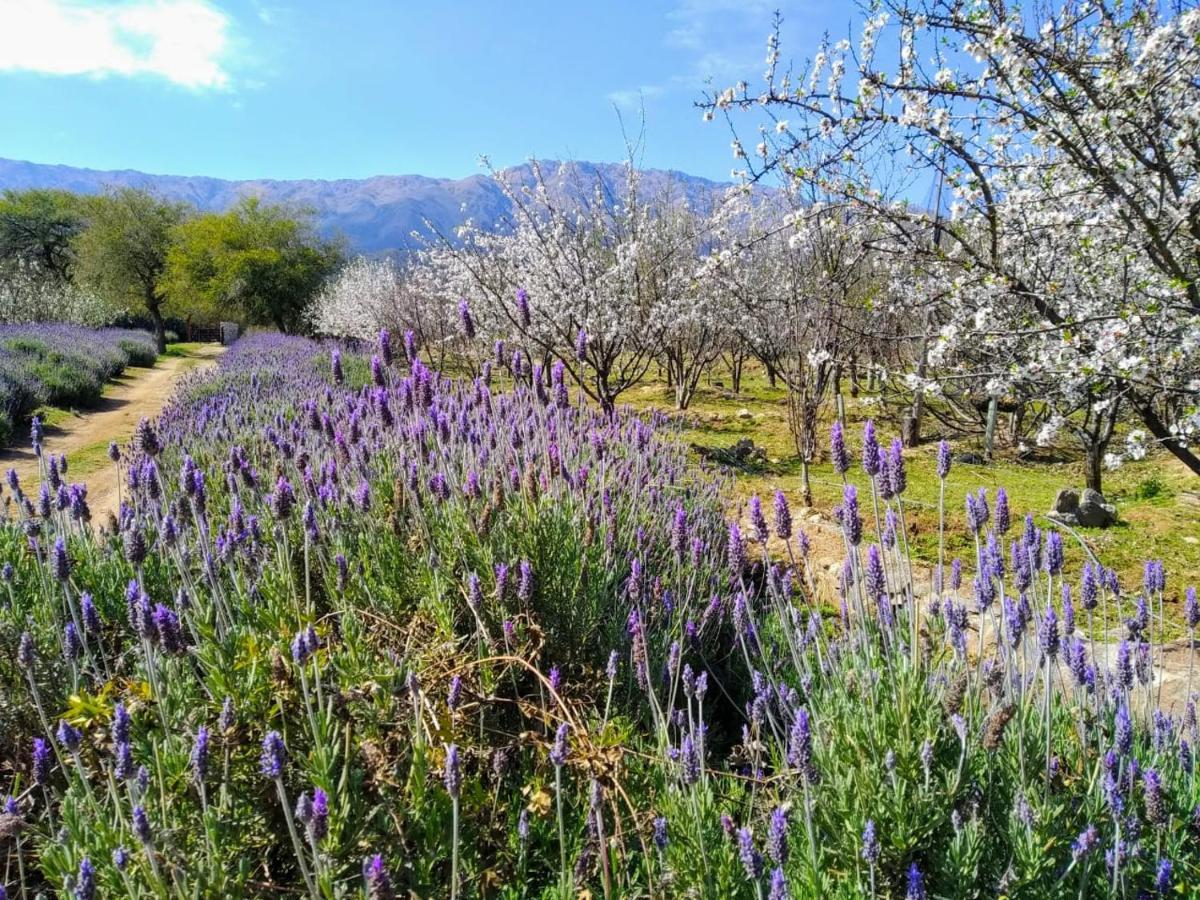 Finca La Julia Luyaba Zewnętrze zdjęcie