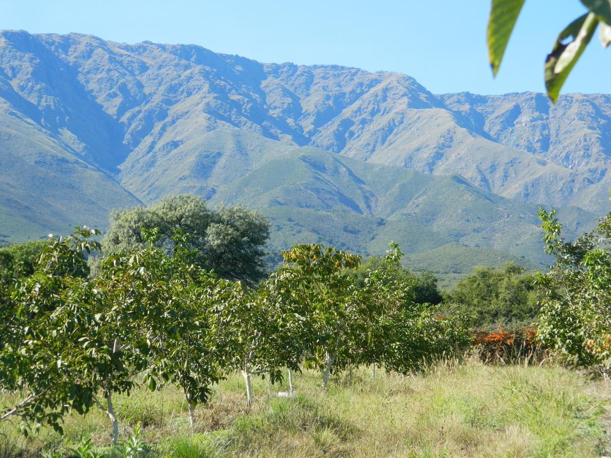 Finca La Julia Luyaba Zewnętrze zdjęcie